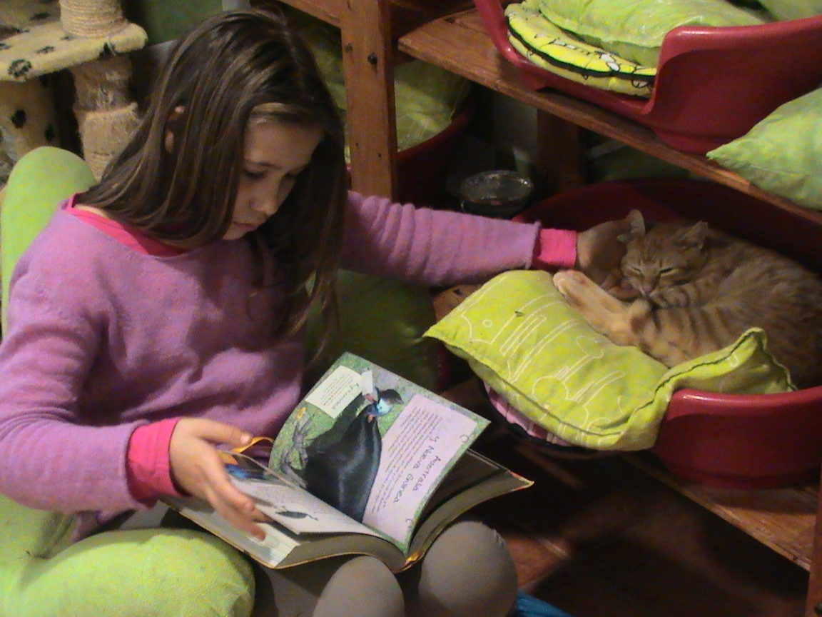 Adri leyendo a gatos