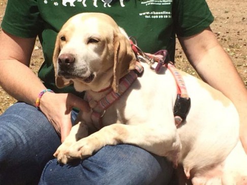 MED_imagenes_imagen_40128_820