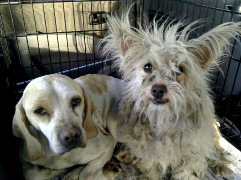 MED_imagenes_imagen_40131_856