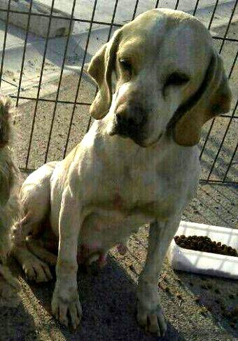 MED_imagenes_imagen_40135_886