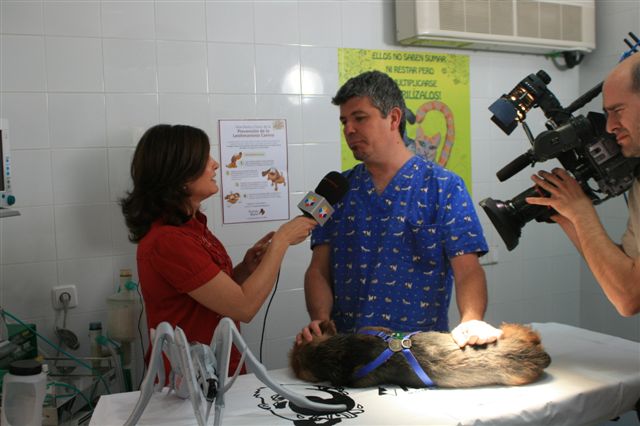 1 DE JUNIO: DÍA DE LA LEISHMANIOSIS