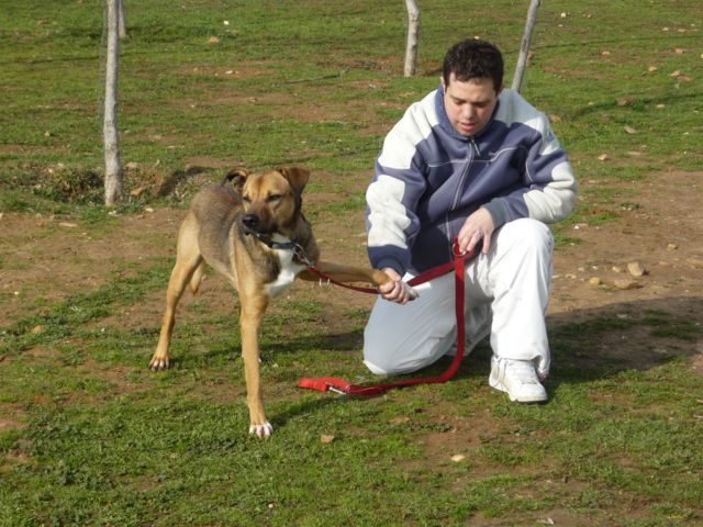 ALBA colabora con la fundación OYE