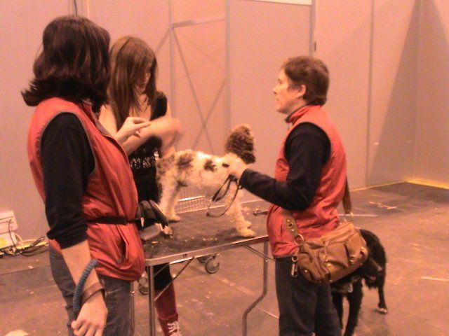 NUESTRA PERRITA CAROL NO MURIO ESTRANGULADA POR UN ABRIGO