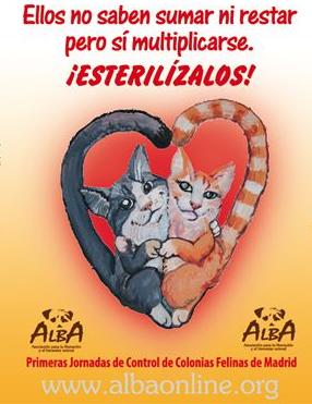 Kastrationsaktion von Madrider Katzenkolonien bei der ALBA