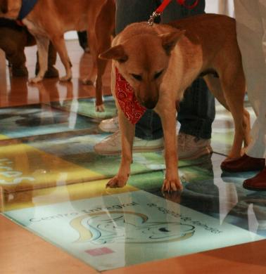 IV. Adoptionswochenende in Madrid