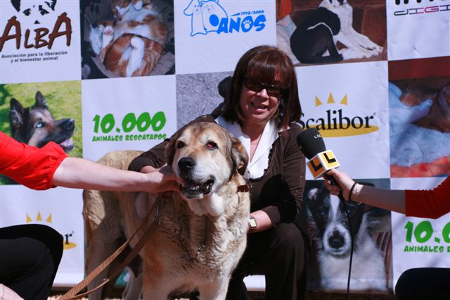 Pressekonferenz im ALBA-Tierheim