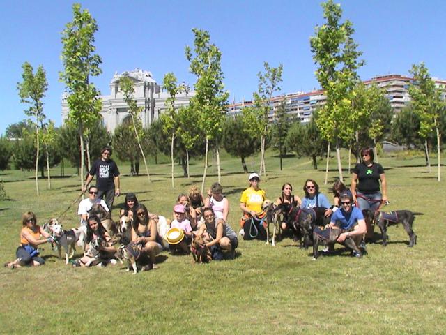 Und wieder durften die ALBA-Hunde einen Ausflug machen!