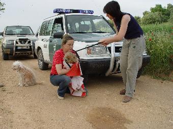 8. ALBA-Rundschreiben