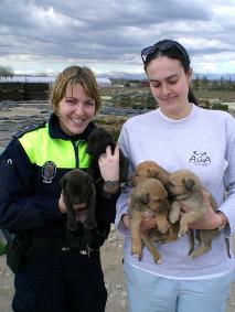 Die Zusammenarbeit zwischen ALBA, der Naturschutzpolizei (Seprona), der
