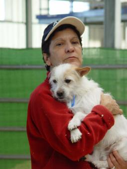 Das 1. Adoptions-Wochenende für Haustiere, organisiert und gesponsert von der Madrider Regierung