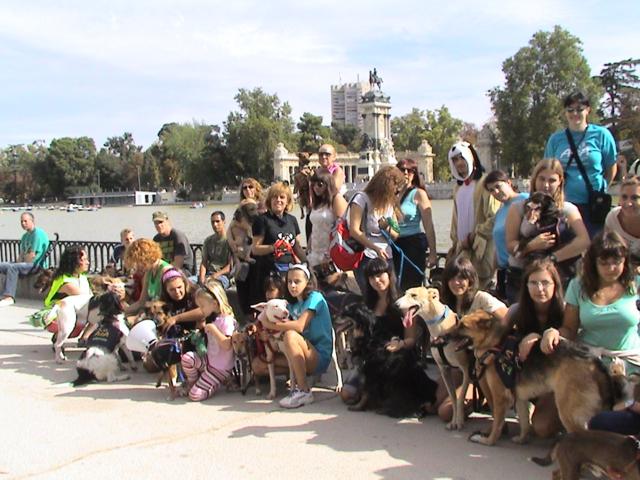 Los perros de ALBA pasean por El Retiro