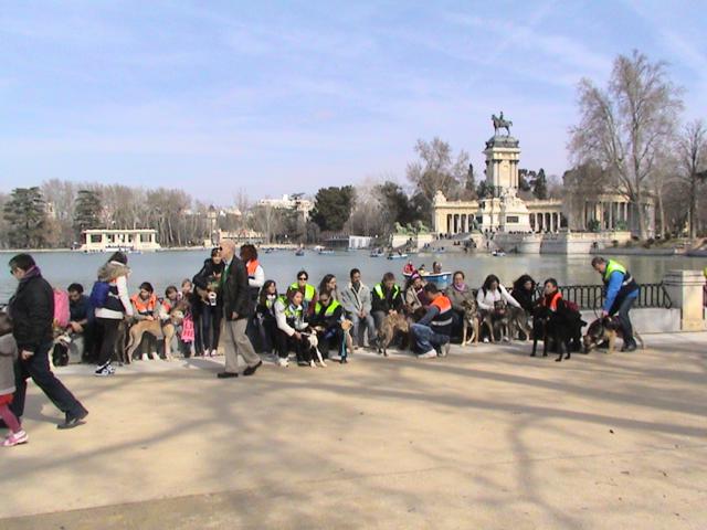 Seminarios de educación canina y ¡paseo por el Retiro!