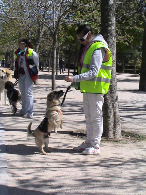 Excursión de los perros de ALBA a El Retiro