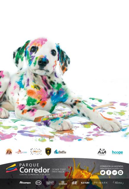 Aquí todos pintamos algo»»