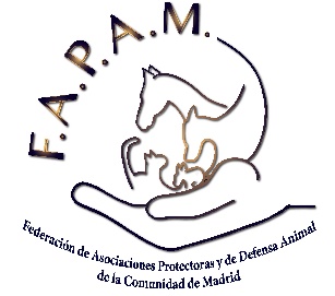 FAPAM  FELICITA AL AYUNTAMIENTO DE MADRID POR NO UTILIZAR ANIMALES EN LA CABALGATA DE REYES