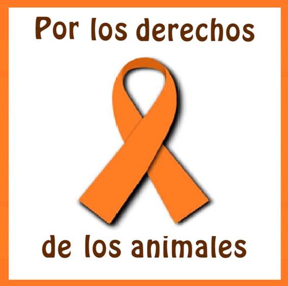 Manifestación y huelga de hambre por la protección animal en Getafe