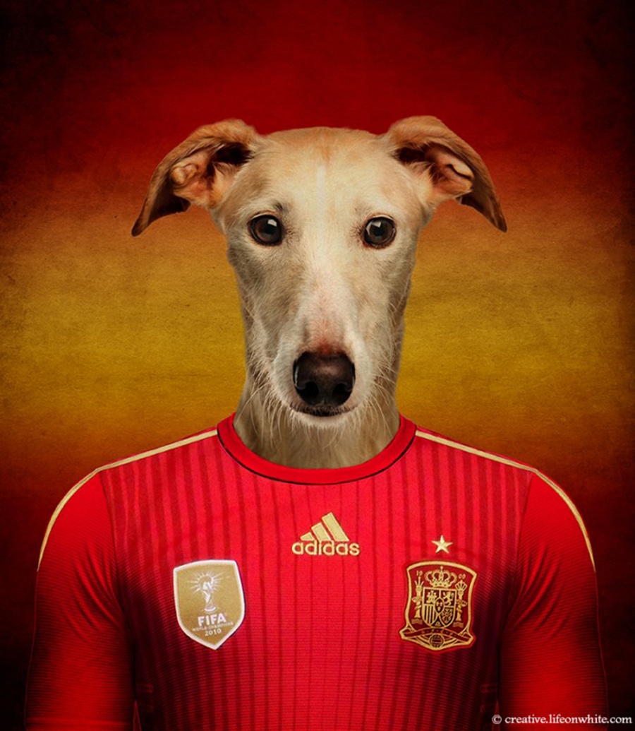 El Mundial canino
